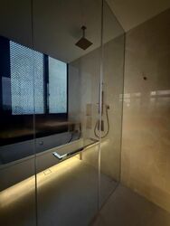 Klimt Cairnhill (D9), Apartment #460779051